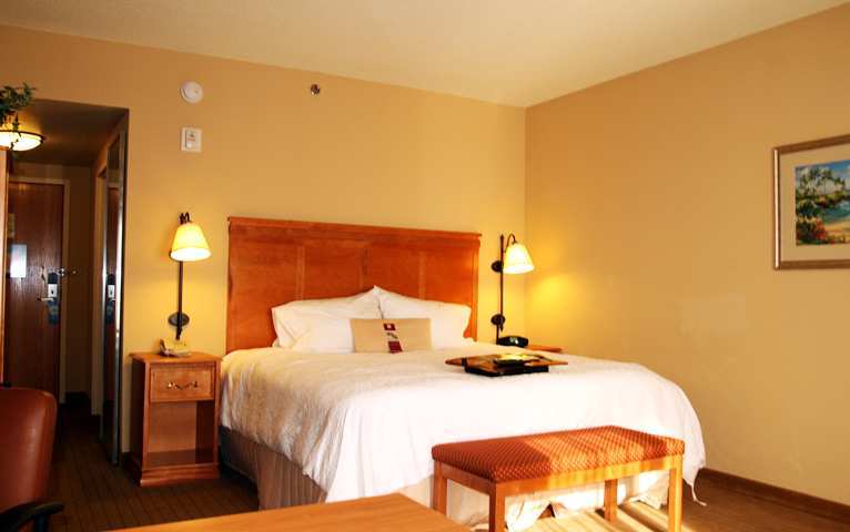 Hampton Inn & Suites Tampa East Casino Area Seffner Habitación foto